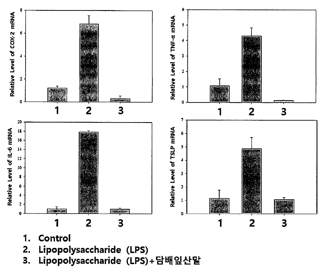 담배잎산말에 의한 LPS로 유도한 RAW264.7 세포에서의 염증 반응 억제