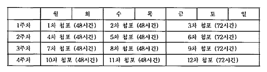 피부 첩포 테스트 계획