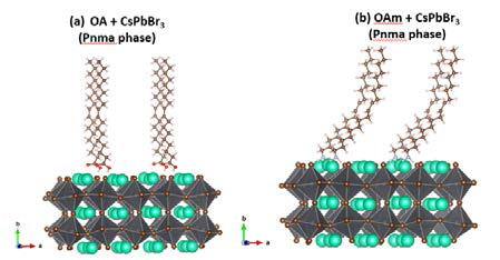 (a) Oleic acid (OA) 및 Oleylamine (OAm)이 Pnma CsPbBr3 (010) 표면에 흡착된 미세 구조