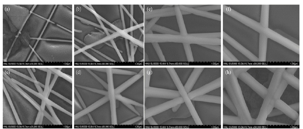 전기도금 시간에 따른 은나노선 투명전극의 SEM 사진 (a) 5s, (b) 20s, (c) 30s, (d) 40s, (e) 50s, (f) 60s, (g) 70s, (h) 80s