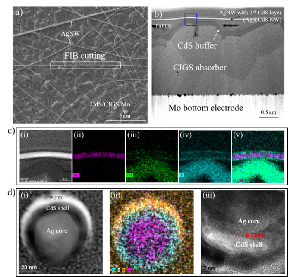 Ag@CdS NW의 구조 분석. (a) CdS/CIGS/Mo 구조상의 Ag@CdS NW의 SEM 이미지 및 (b) (a)에서 FIB 절단으로 표시된 영역에서 Ag@CdS NW를 따른 단면 TEM 이미지. (c) (b)에서 정사각형 점으로 표시된 영역에서 Ag@CdS NW의 고해상도 TEM 이미지 및 상응하는 에너지 분산 분광법 매핑 이미지. (d) Ag@CdS NW 및 대응하는 원소 맵핑 이미지에 걸친 고해상도 TEM 이미지