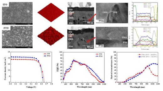 후면 투명 전극 종류에 따른 CIGS 박막의 표면형상 및 투광형 CIGS 태양전지의 성능 결과