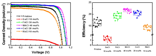 다양한 양이온 염화물 첨가제에 따른 태양전지 효율 곡선(좌) 및 분포(우)