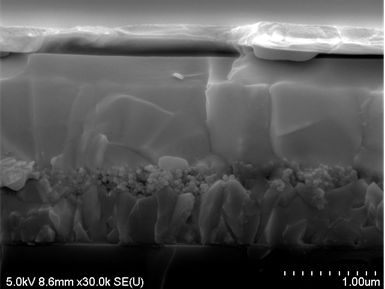 페로브스카이트 태양전지 단면의 전자현미경사진