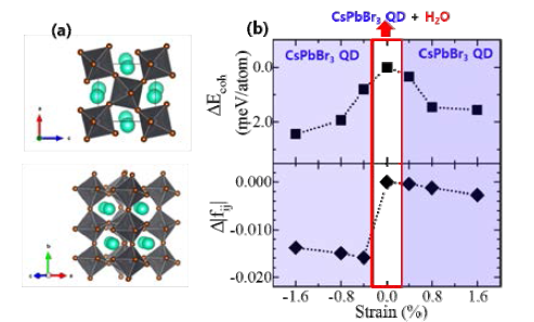 (a) bulk CsPbBr3 결정구조 및 (b) 물 추가 후 CsPbBr3 변형에 따른 상대적인 응집에너지와 진동자 세기