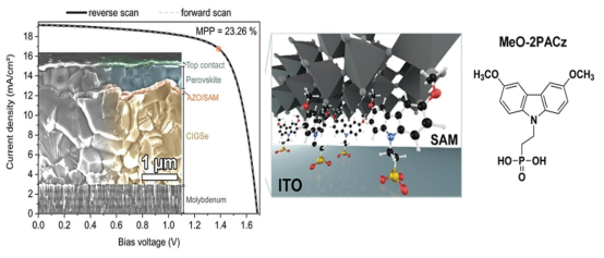 SAM 분자를 이용한 23.26% 효율의 모놀리틱 Perovskite/CIGS 탠덤 태양전지 (Energy Environ. Sci. 2019, 12, 3356)