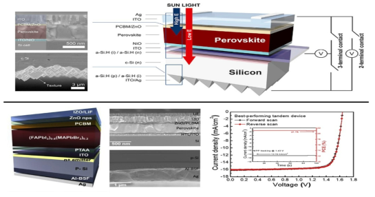 상 : 3-terminal Perovksite/Si monolithic tandem cell (Joule. 2019, 3, 1), 하 : p-type homojunction Si 태양전지를 기반으로 한 Perovksite/Si monolithic tandem cell (Nano Energy. 2019, 60, 213)