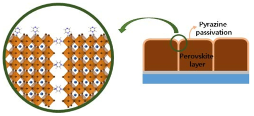 피라진 후처리 공정에 의한 페로브스카이트 광흡수층의 표면 및 계면 결함 제어 모식도