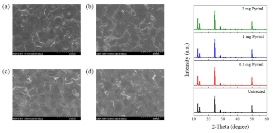 (좌)피라진 농도에 따른 페로브스카이트 광흡수층의 표면 전자현미경 사진 ((a) 0mg Pyr/ml, (b) 0.5mg Pyr/ml, (c) 1.0mg Pyr/ml,(d) 2.0mg Pyr/ml) (우)XRD 그래프