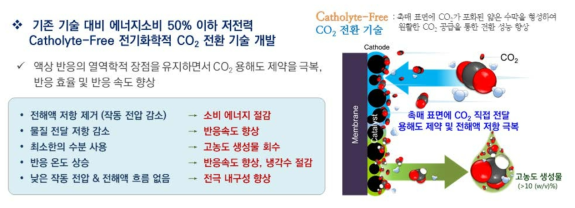 Catholyte-Free CO2 전환 기술의 장점
