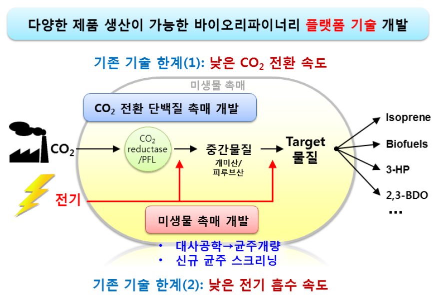 CO2 전환 바이오리파이너리 기술의 모식도