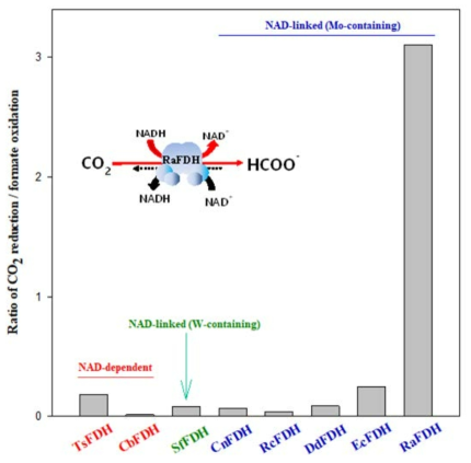 CO2 환원 효소의 CO2 환원 및 개미산 산화 활성 비율 비교