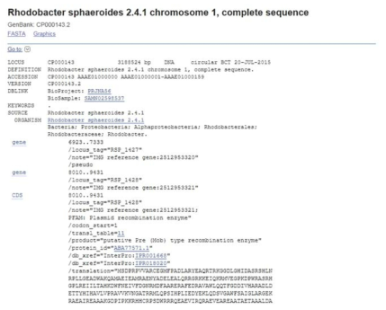 Rhodobacter sphaeroides 2.4.1의 유전 정보 분석