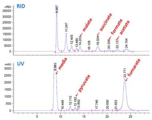 Chromatogram of various organic acids