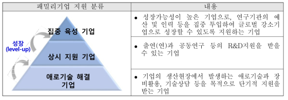 패밀리기업 지원 분류 및 지원 내용