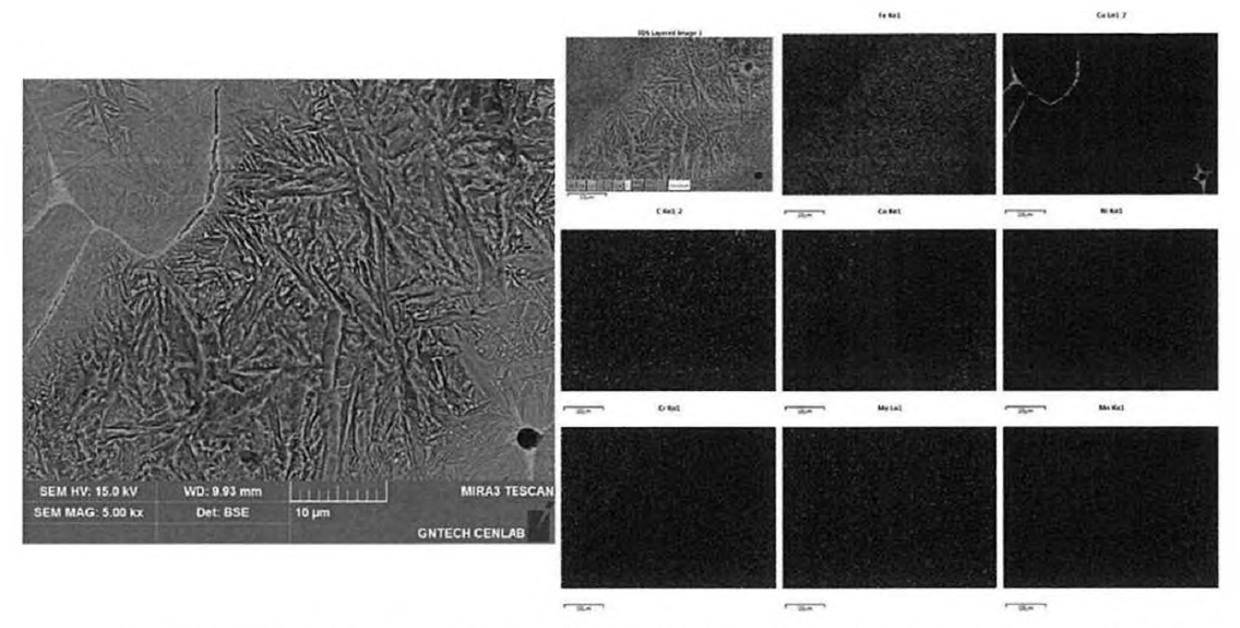 구리 용침 23%인 밸브시트 소재의 SEM 사진 및 EDS mapping