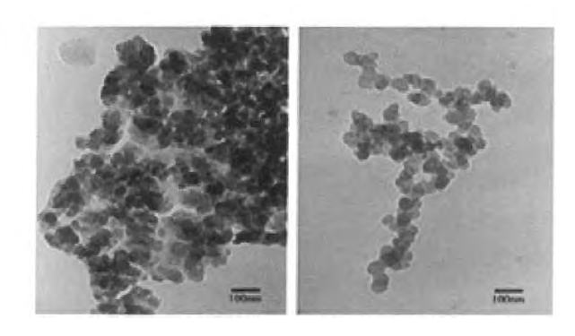 TEM image of ACP in various shape of aggregation