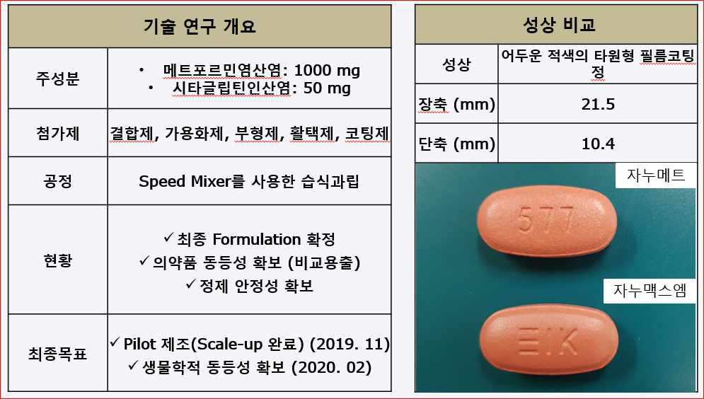 개발된 완제 의약품 개요