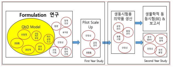 완제의약품 기술 개발 모델