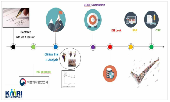 임상시험 흐름도