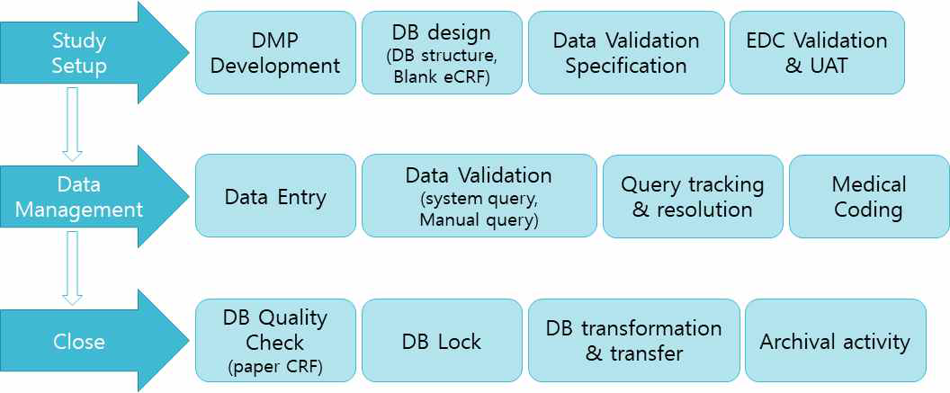 Data Management Process