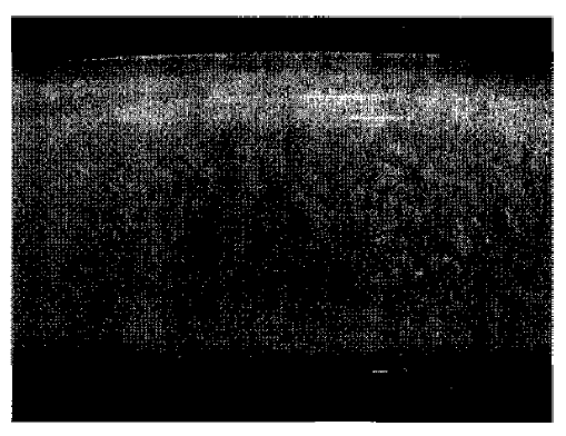 CdCl2(Granule Type)