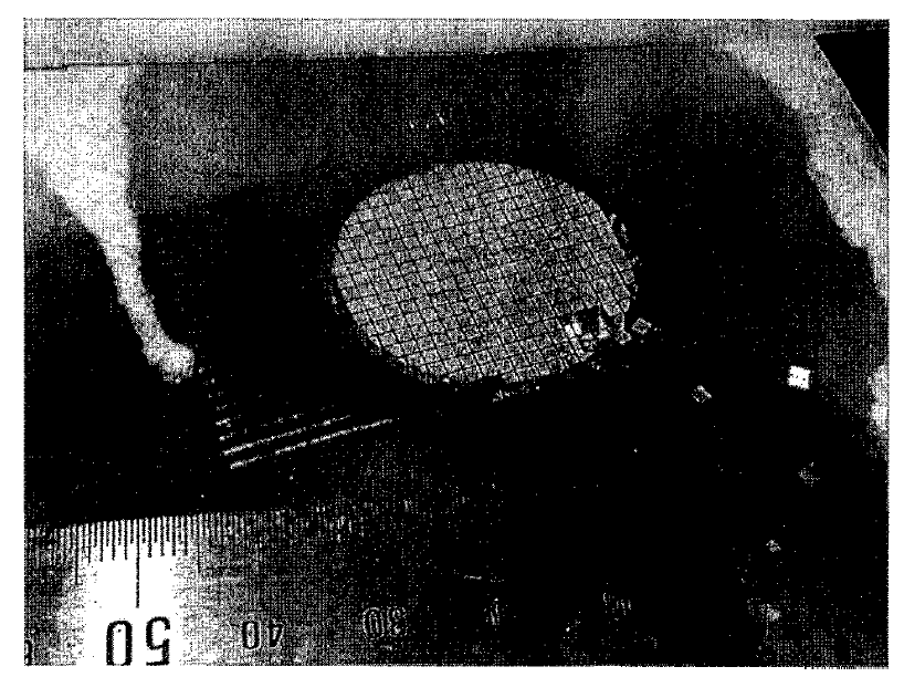 Mo층의 두께 100nm 이상인 경우 다이싱 결과