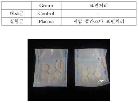 시험 시편