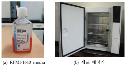 배지 및 세포 배양기