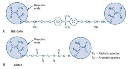 BIS-GMA와 UDMA의 화학적 결합구조