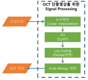 OCT Signal Processing 구조