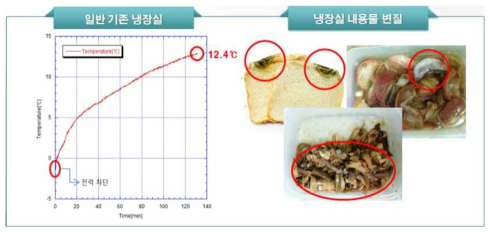 전력수급 차단 시 냉장실의 기능 저하