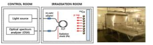 광섬유 방사선 조사 실험 구성도 (정읍, 첨단방사선조사시설)