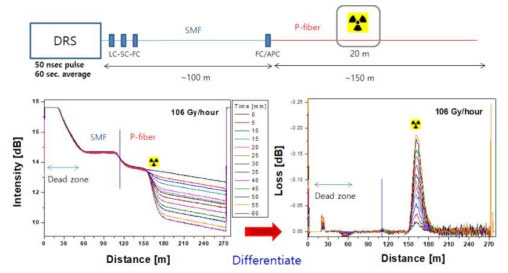 DRS 시스템 방사선량 분포 데이터 측정 결과 (@106Gy/h)