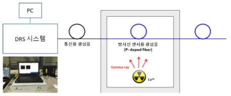 DRS 시스템 방사선 환경 테스트베드