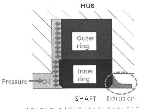 Extrusion 현상