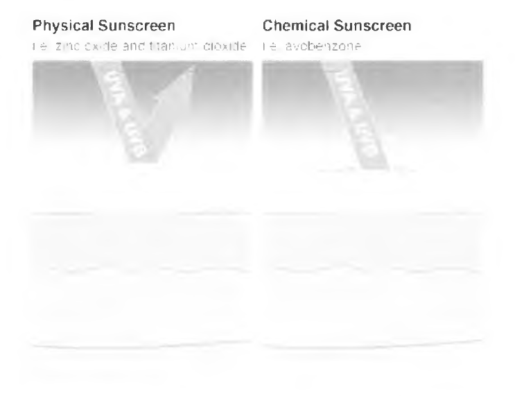 자외선으로부터 보호 효과를 갖는 sunscreen 화장품의 분류