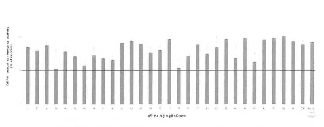 추출물 30여 종의 DPPH radical scavenging activity