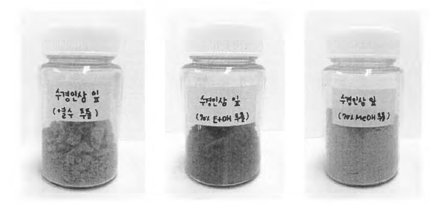 용매별 농축 및 추출 파우더