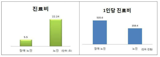 진료비, 1인당 진료비 (장애노인 vs 노인)