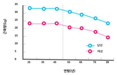 나이에 따른 근육 감소량