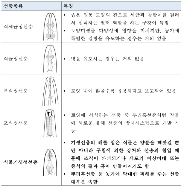 선충의 종류 및 특징