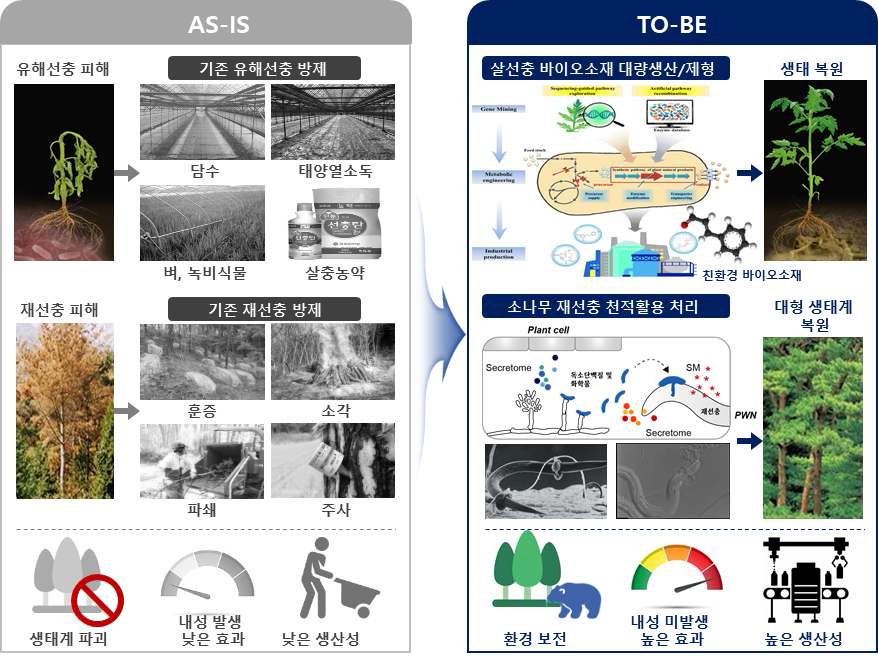 친환경 생태복원 살선충 바이오소재 기술 AS-IS/TO-BE