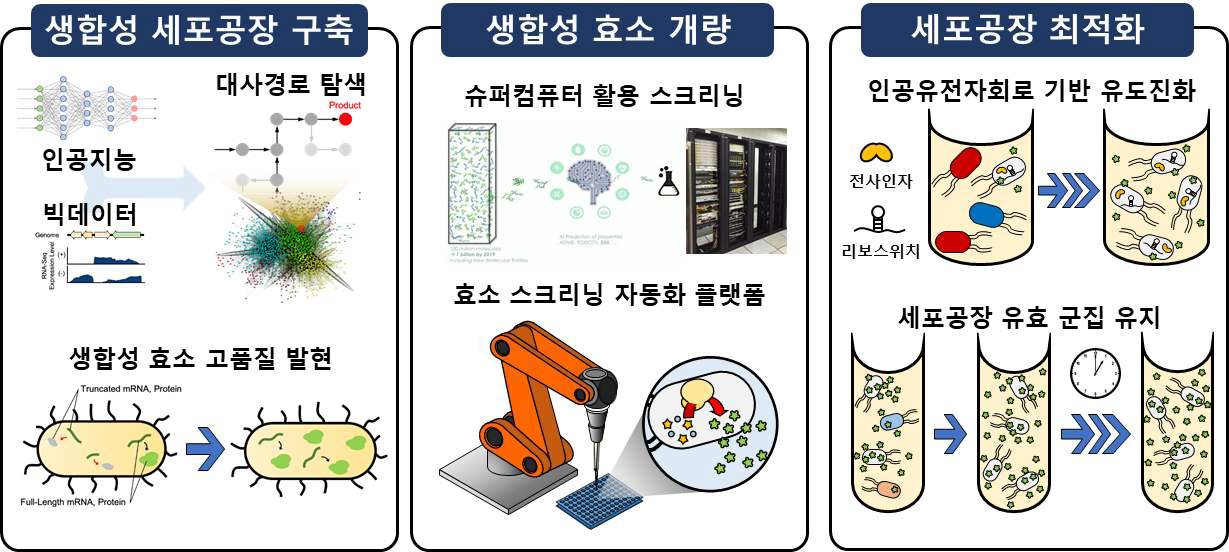 살선충 바이오소재 생산 세포공장구축 및 최적화