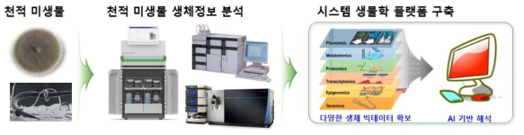 천적 미생물의 생체정보 빅데이터 확보 및 인공지능 기반 시스템 생물학 플랫폼구축