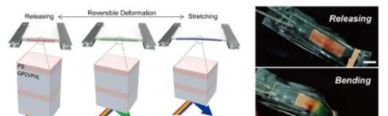 구조색을 이용한 유연기판의 변형률 센서 (NPG Asia Mater. 10, 328, 2018)