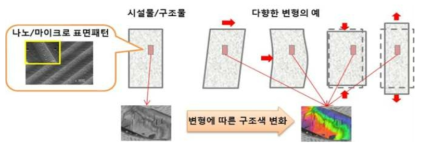 나노/마이크로 미세 표면패턴 기반 광학적 변형감응 소자 개요