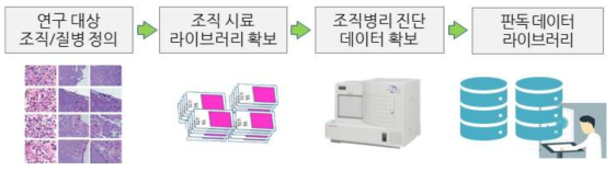 진단 프로토콜 개발을 위한 데이터 라이브러리 확보