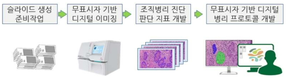 무표시자 방식 디지털 병리 프로토콜 개발