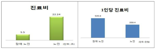 진료비, 1인당 진료비 (장애노인 vs 노인)